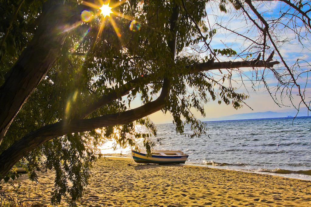 Hotel Stella Skala Rachoni  Dış mekan fotoğraf